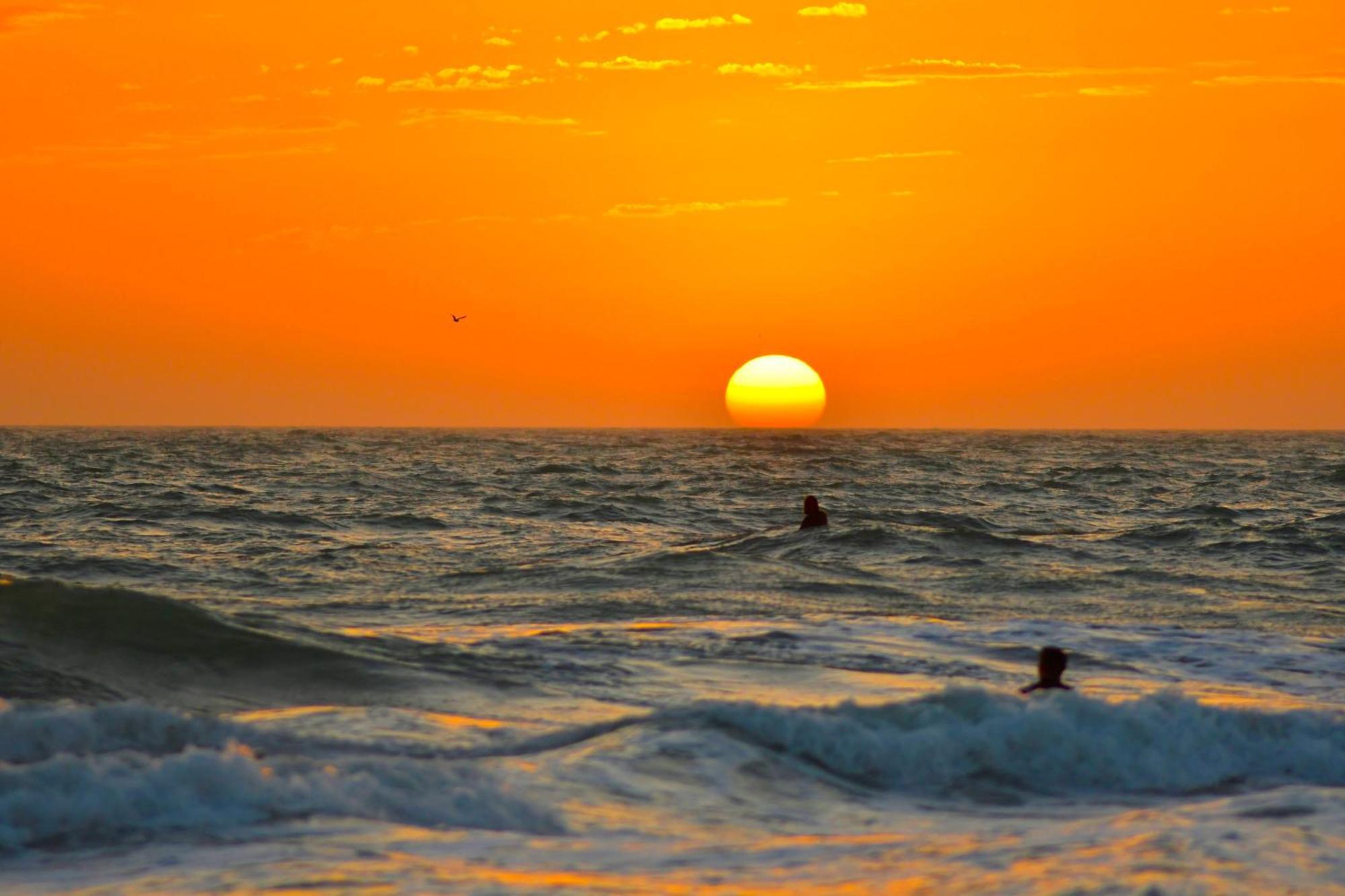 Anna Maria Island Beach Palms 2B เบรเดนทันบีช ภายนอก รูปภาพ